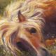 Kim Novak painting--"Horse Heaven"--from San Fran exhibit