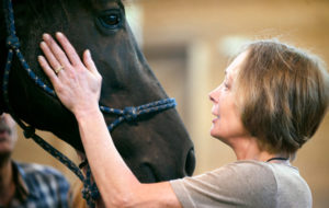 Equine Therapy/Photo: Gary Howe/NYTimes
