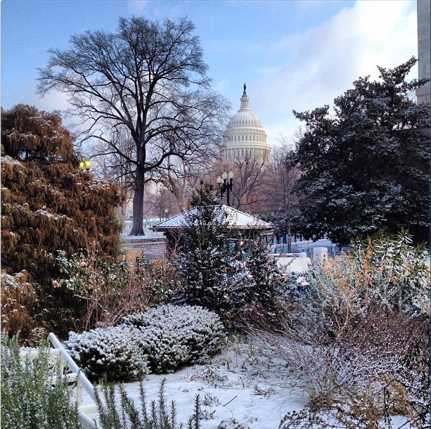 Winter morning on Capitol Hill by @uscapitol