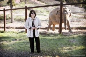 Lilly Tomlin Fights to Save Elephants/HBO