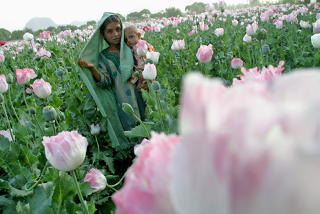 Young Afghan girl holding a baby as she walks in a poppy field in Kandahar, Afghanistan, 4/4/04--Photo Heidi Levine