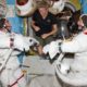 Astronauts Karen Nyberg and fellow astronauts at International Space Station/NASA