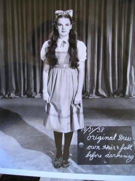 Dorothy Gale Wizard of Oz Dress Auction/Photo Taken on Wizard of Oz Set