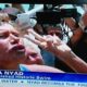 Diana Nyad completes swim Cuba-Florida