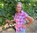 Kathryn Gould, one of the first women venture capitalists shown with her grapes at her vineyard