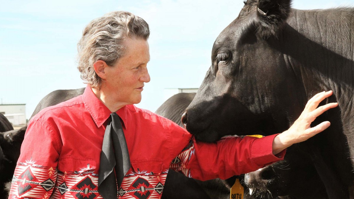 Temple Grandin/Photo from Forbes and Pinterest