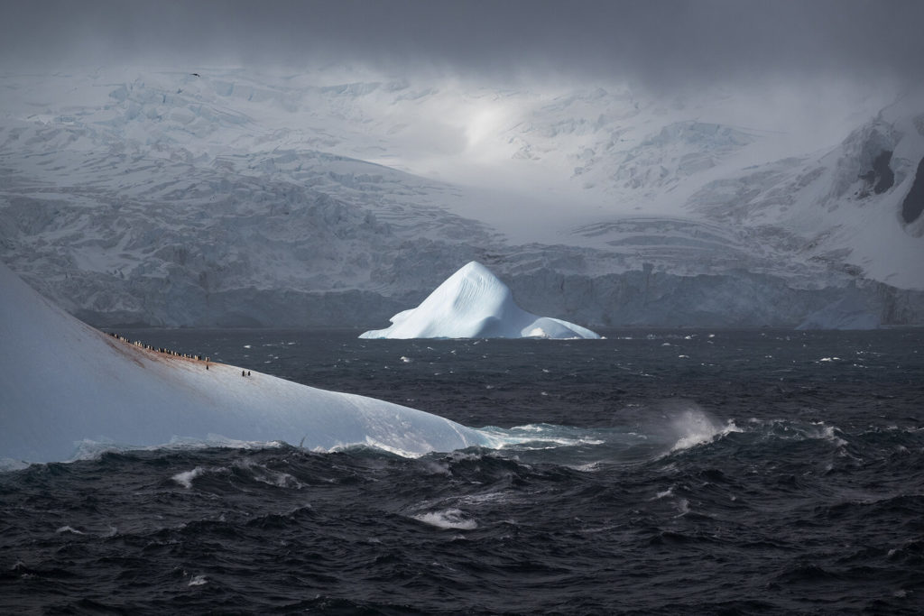Photographer Camille Seaman's photo Icebergs & Glaciers, Elephant Island, Antarctica, Dec. 22, 2019