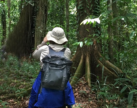 Traveler Laurie McAndish King exploring in the jungle from her "The Call of the Nightjar" chapter in "An Elephant Ate my Arm"/ Courtesy: Laurie McAndish King