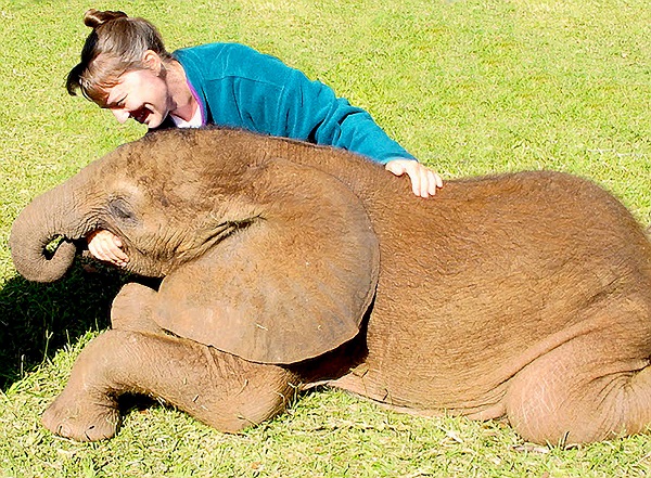 Traveler Laurie McAndish King, author "An Elephant Ate My Arm" with Rastus, 340-pound elephant in Zimbabwe/Photo: James E. King