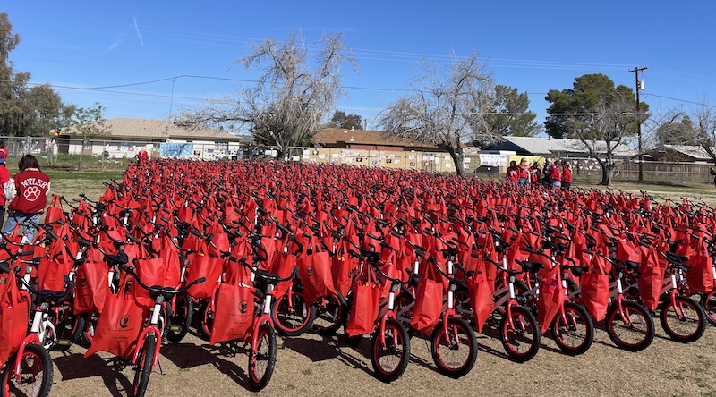 Katie Blomquist Chandler Bike "Going Places" nonprofit with a field of 830 bikes | Photo: P. Burke